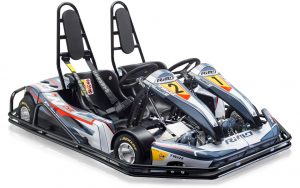 12 neue E-Karts + TwinKart
